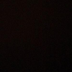 Meet your Posher, Willy